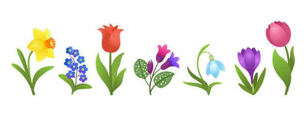 Cartoon spring flowers isolated on white background. Bright floral design. Early springtime flower bloom. Crocus, snowdrop, daffodil, tulips, forget-me-nots, pulmonaria. Vivid colorful plant clip art. - obrazy, fototapety, plakaty