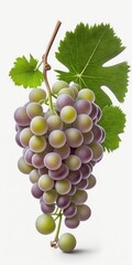 Obraz premium A bunch of grapes photoreal illustration on white background can easily be isolated generative ai