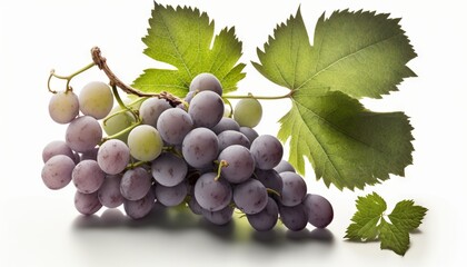 Fototapeta premium A bunch of grapes photoreal illustration on white background can easily be isolated generative ai