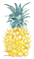 Pineapple illustration Hand painted food clipart Gouache painting Recipe, kitchen, cooking book and menu graphic design element.  