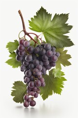 Fototapeta premium A bunch of grapes photoreal illustration on white background can easily be isolated generative ai