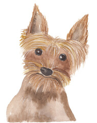 Yorkshire Terrier Dog portrait Watercolor illustration of cute domestic animal Scrapbooking, invitation, post card, greeting card, baby shower graphics. 