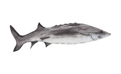 Chinese Sturgeon fish Watercolor illustration for Chinese new year celebration Graphic element for greeting card, poster, party invitation. Png file with transparent background Watercolor clipart