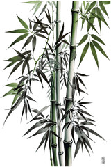 Fototapeta na wymiar bamboo tree transparent background, ai generated