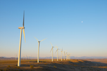 Wind turbine generators for renewable electricity production