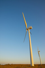 Wind turbine generators for renewable electricity production