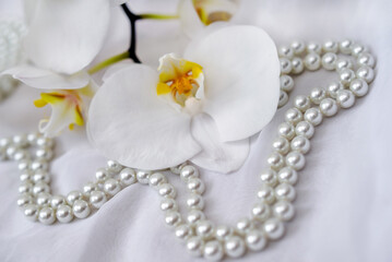 The branch of white orchids on white fabric background
