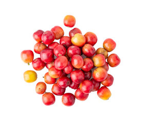 Red coffee beans  ripe and unripe berries isolated on transparent png