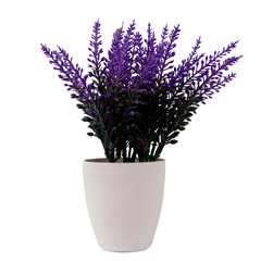 Artificial lavender flowers isolated on white background. copy space