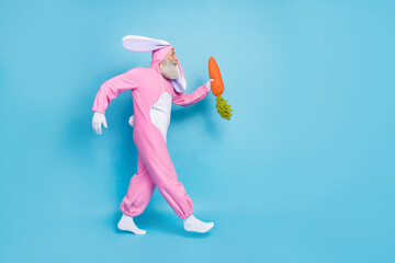 Full length photo of funky excited retired man wear pink hare pajama walking empty space holding carrot isolated blue color background