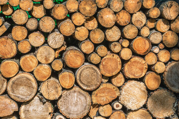 The background of a woodpile with firewood for heating the house in cold weather. Heating of the house. View of sawn wood for the fireplace. Firewood that needs to be chopped with an axe.