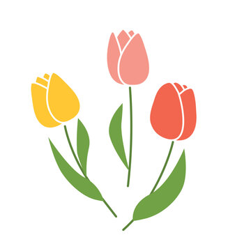 colorful tulip flowers - vector illustration