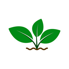 Leaf icon. sign for mobile concept and web design. vector illustration