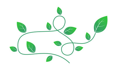 Vines leaf illustration vector design