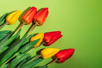 Fototapeta premium Bouquet of multi-colored tulips on a green background. Greeting card for Mother's Day, International Women's Day, Valentine's Day and Easter. Spring holidays.