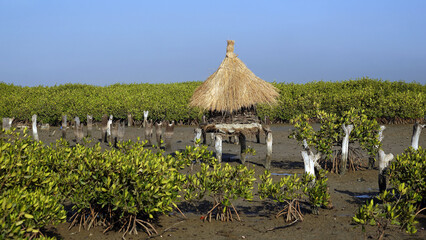 Fototapeta na wymiar Greniers à mil dans une lagune au Sénégal