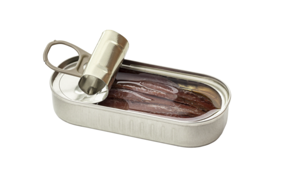Opened tin can of anchovy fillet in oil isolated on a transparent background