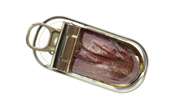 Opened tin can of anchovy fillet in oil isolated on a transparent background. Top view