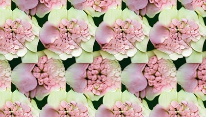 Obraz na płótnie Canvas a close up of a flower with pink and white petals. generative ai