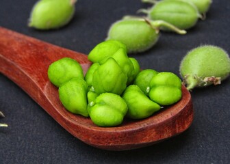 Green Chickpeas on a wooden spoon Close-up 