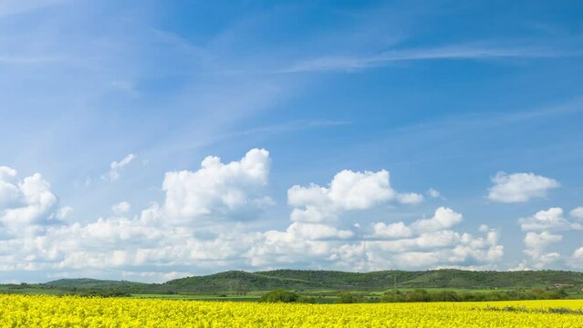 Fields with a plant in a valley against the background of the village and the sky in Bulgaria
