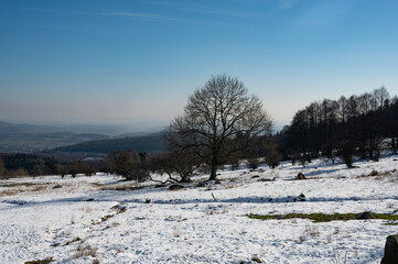 Winter landscape with lots of snow