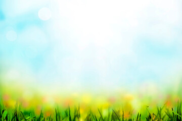 Fototapeta na wymiar Spring background with grass flowers and bokeh lights, Sunny spring meadow blur background, blue sky to green grass gradient