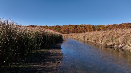 Nature wildlife area at Irondequoit Bay in New York during Autumn Season with fall colors outdoors in environment
