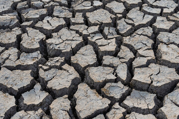 drought land.Land with dry and cracked desert ground, global warming background.Concepts global...