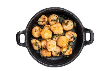 Scallops seared in garlic, thyme and butter served in cast iron skillet. Isolated, transparent...