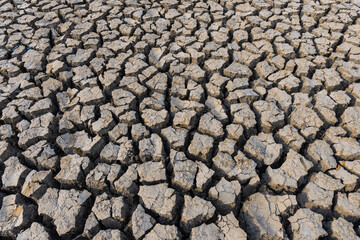 drought land.Land with dry and cracked desert ground, global warming background.Concepts global warming problem resolution with over cracks soil .