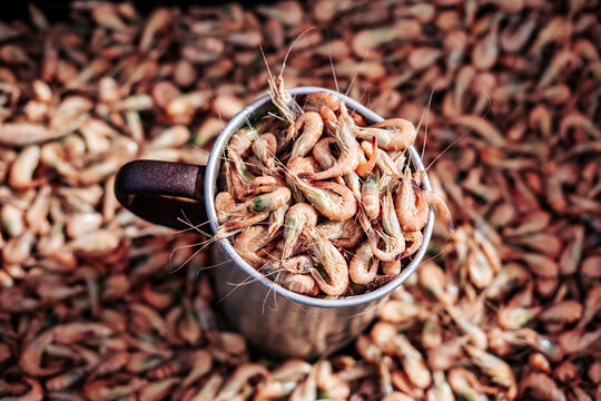 B&uuml;sumer Hafen, Krabbenbr&ouml;tchen