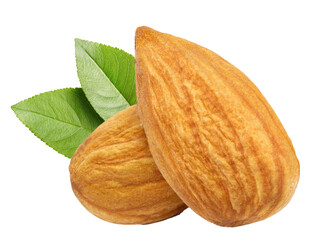 Almond nut isolated. PNG transparency