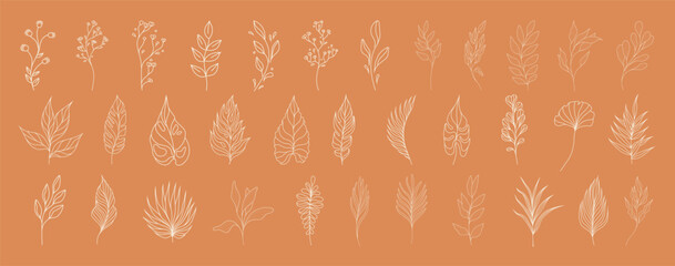 Set of leaves. Tropical plants. Herbarium. Perfect for herbal products designs.