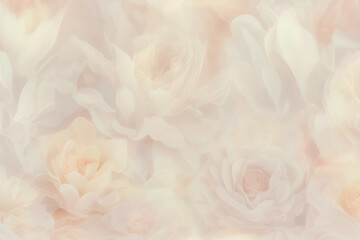 White and pink rose petals background. Generative AI.