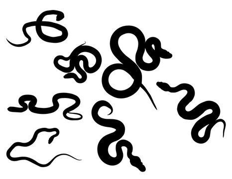 Set of Seven Snake Silhouettes