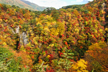 Japanese scenery - autumn colors in the mountains