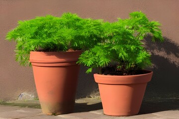 Fototapeta premium Outside view of traditional little green plant in a pot - generative ai