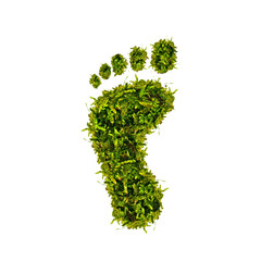 grüner Moos Fußabdruck auf transparenten Hintergrund
