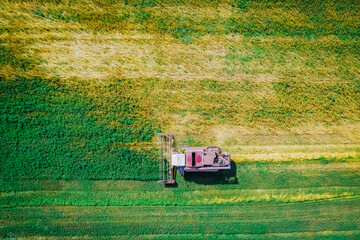 Harvesting with combine harvester in green fields in autumn