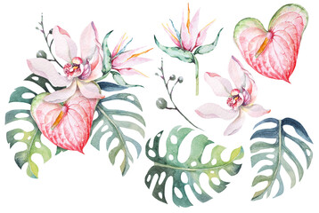 Tropical flower bouquet watercolor.Composition of orchid, anthurium, monstera leaves and bird in paradise flowers.Jungle forest wedding bouquet.Aloha flower in summer. © joy8046