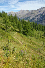 Fototapeta na wymiar Trekking in the mountainous landscape around the Stura Valley, Valle Stura, Cottian Alps, Maritime Alps, Western Alps, Italy, Europe