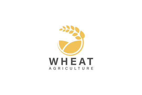Wheat logo design vector with circle concept