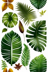 feuilles de plantes exotiques, monstéra ou palmier en ia générative