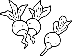line drawing cartoon healthy radish
