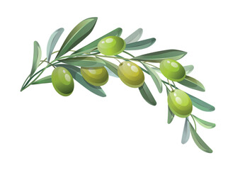 Green olive branch. Green olives with leaves. Vector illustration