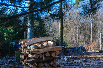 Wald Holzeinschlag, Brennholzpolter, schöne Stimmung mit Sonne