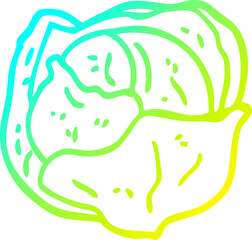 cold gradient line drawing cartoon cabbage