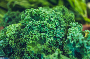 Kale fresh salad at the market.