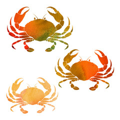 Crab. Hand drawn watercolor  illustration, 3 isolated  elements on white background. Perfect for menu decoration, invitation, card and as a design element.